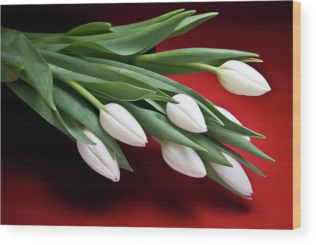 Flower Wood Print featuring the photograph Tulips I by Tom Mc Nemar