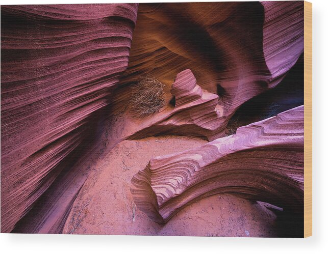Rattlesnake Canyon Wood Print featuring the photograph Tumbleweed In The Canyon by Stephen Holst