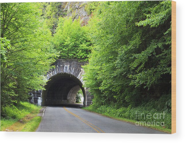 Rough Wood Print featuring the photograph Tunnel on the Parkway by Jill Lang