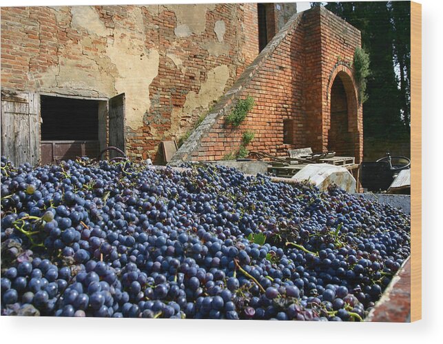 Italy Wood Print featuring the photograph Tuscany Vineyard by Al Hurley