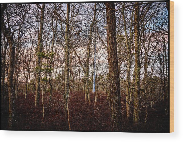 Sky Wood Print featuring the photograph Twilight by Frank Winters