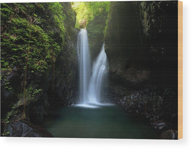 Waterfall Wood Print featuring the photograph Twin Falls by Andrew Kumler