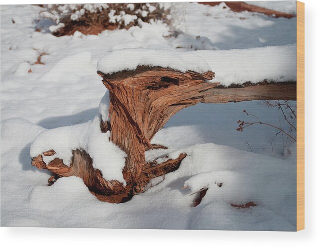 Colorado Wood Print featuring the photograph Twisted Root by Julia McHugh