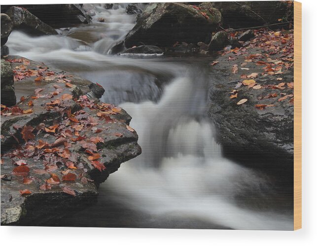 Waterfall Leaves Movement Rocks Edges Multicolored Wood Print featuring the photograph Twisted Waterfall by Scott Burd
