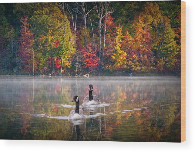 Canada Wood Print featuring the photograph Two Canadian Geese swimming in Autumn by Randall Nyhof