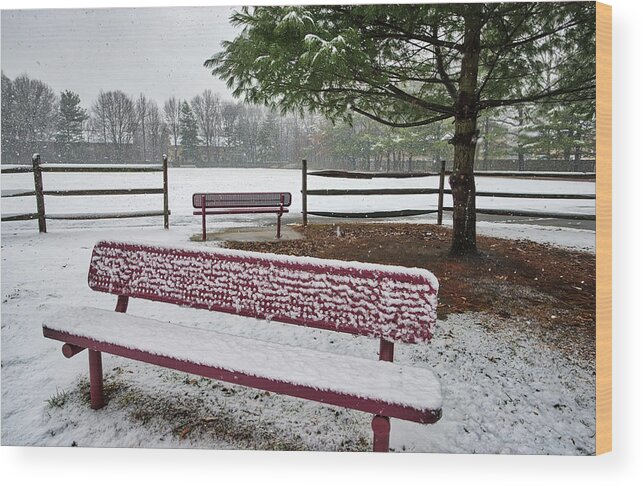 Bench Wood Print featuring the photograph Two Empty Benches In The Snow by Gary Slawsky