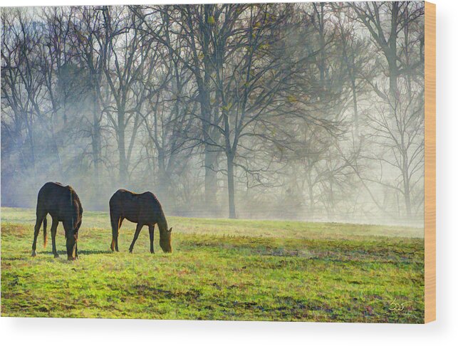 Horse Wood Print featuring the photograph Two Horse Morning by Sam Davis Johnson