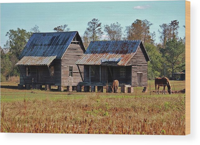 House Wood Print featuring the photograph Two Of Each by Cynthia Guinn