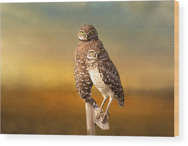 Owl Wood Print featuring the photograph Two Of Us by Kim Hojnacki