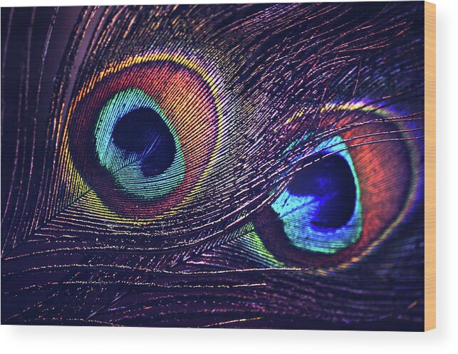 Jenny Rainbow Fine Art Photography Wood Print featuring the photograph Two Purple Peacock Feathers by Jenny Rainbow
