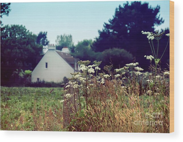 Green Wood Print featuring the photograph typical English country side by Ariadna De Raadt