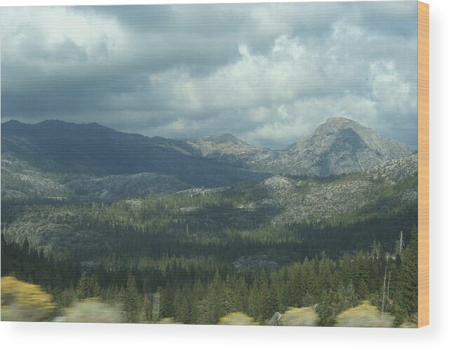 Nature Wood Print featuring the photograph Under the Clouds by Magda Levin