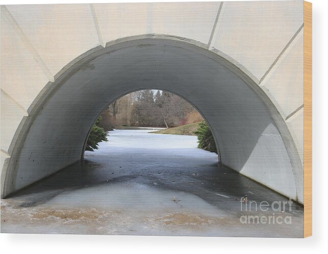 Bridge Wood Print featuring the photograph Under the Icy Bridge by Erick Schmidt