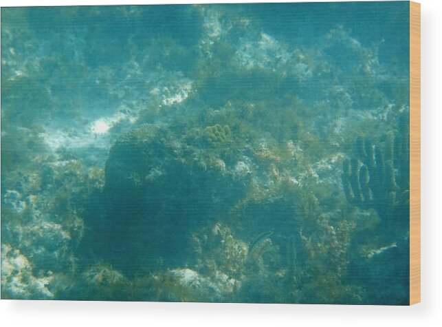 Ocean Wood Print featuring the photograph Underwater 27 by Robert Nickologianis