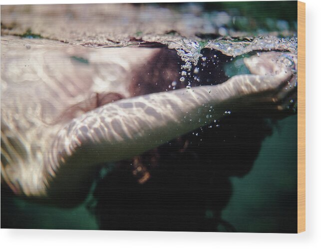 Swim Wood Print featuring the photograph Underwater Detail by Gemma Silvestre