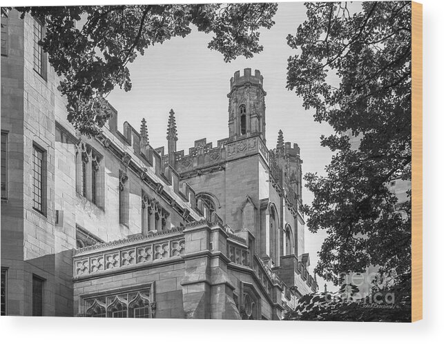 Aau Wood Print featuring the photograph University of Chicago Collegiate Architecture by University Icons