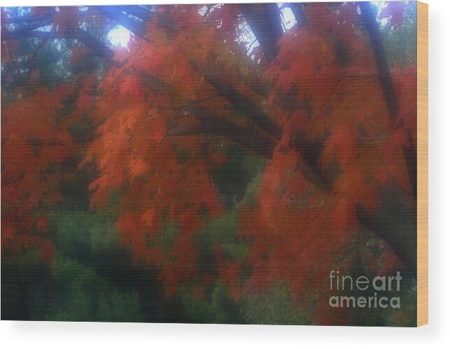 Autumn Wood Print featuring the photograph Untitled 25 by Jeff Breiman