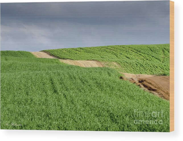 Panorama Wood Print featuring the photograph Up and down on the way up by Arik Baltinester