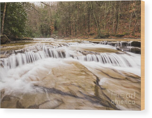 Waterfall Wood Print featuring the photograph Upper Campbell Falls by Melissa Petrey