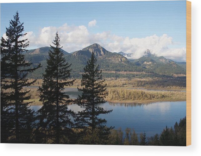 Upper Elowah Columbia Wood Print featuring the photograph Upper Elowah Columbia by Dylan Punke
