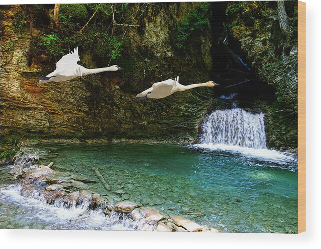 Waterfalls Wood Print featuring the photograph Upper Margaret Falls by Ed Hall