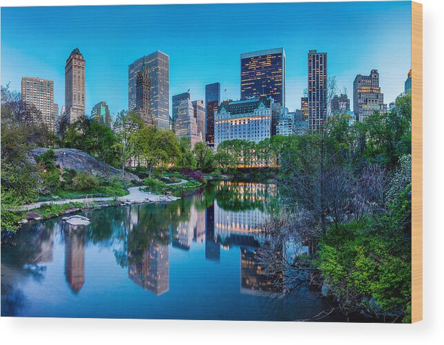 Central Park Wood Print featuring the photograph Urban Oasis by Az Jackson