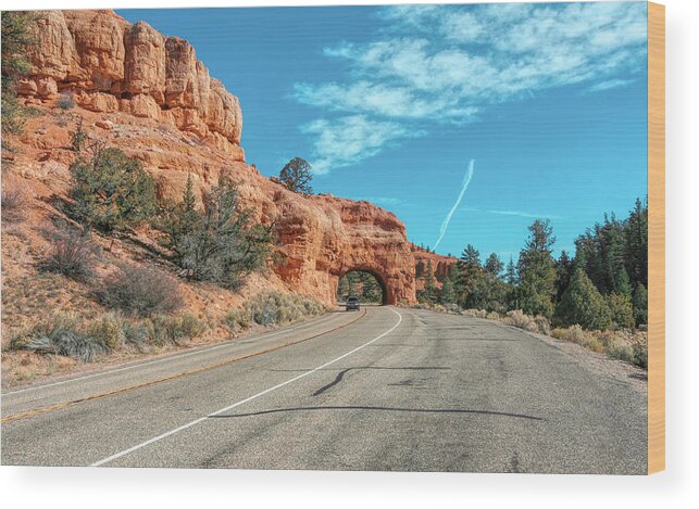 Landscape Wood Print featuring the photograph Utah Surprises by John M Bailey