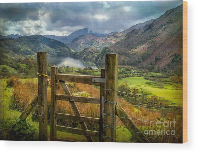 Nant Gwynant Wood Print featuring the photograph Valley Gate by Adrian Evans