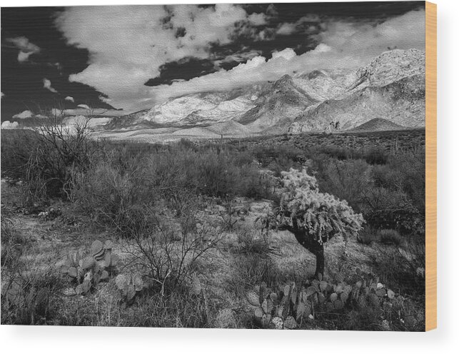 Mark Myhaver Wood Print featuring the photograph Valley View No.29 by Mark Myhaver