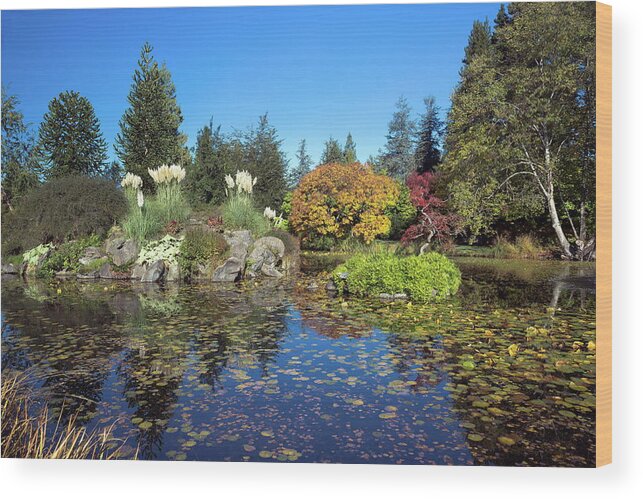 Alex Lyubar Wood Print featuring the photograph Van Dusen Botanical Garden by Alex Lyubar
