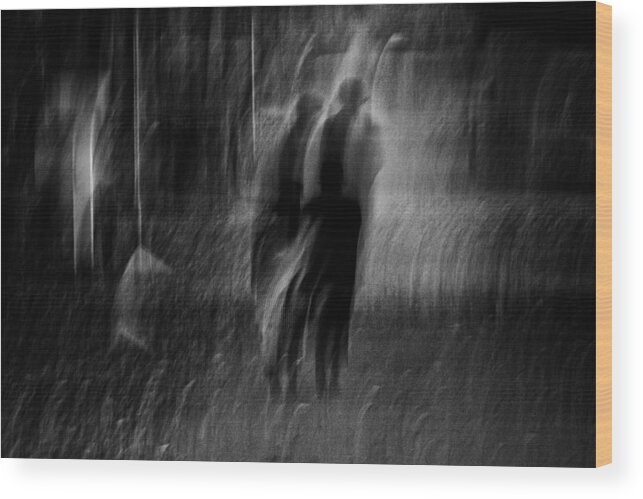 Garderen Wood Print featuring the photograph Vanishing by Joke Scheerman
