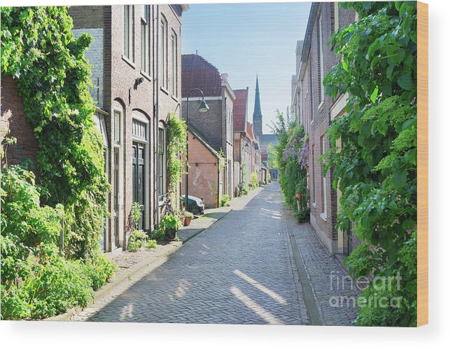 Delft Wood Print featuring the photograph Delft old town in Holland by Anastasy Yarmolovich