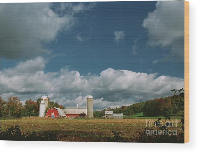 Barn Wood Print featuring the photograph Vermont Farmland by Nicki McManus