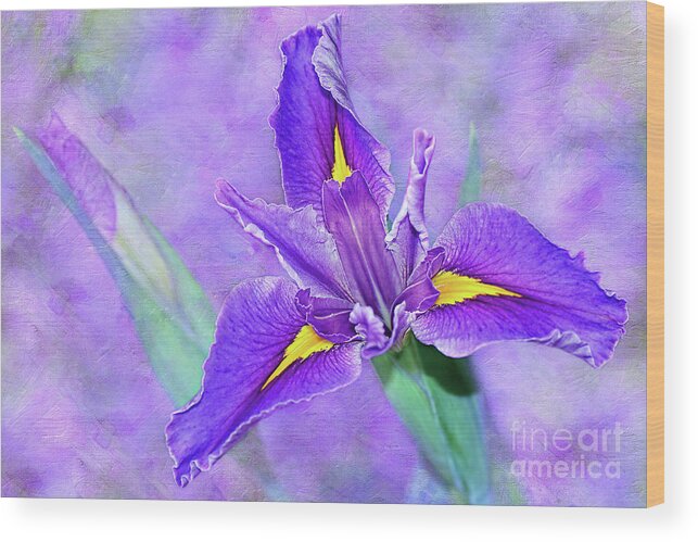 Vibrant Iris On Purple Bokeh Wood Print featuring the photograph Vibrant Iris on Purple Bokeh by Kaye Menner by Kaye Menner