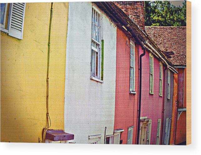 Accommodation Wood Print featuring the photograph Vibrant living by Tom Gowanlock