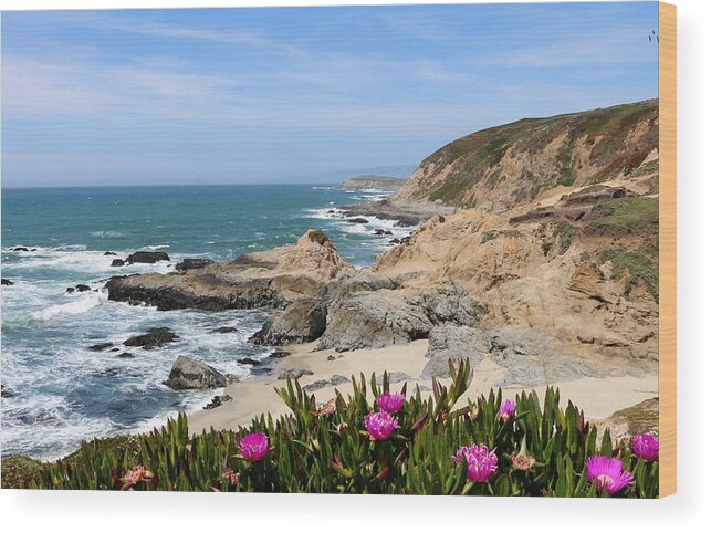 Bodega Head Wood Print featuring the photograph View from Bodega Head in Bodega Bay CA - 2 by Christy Pooschke