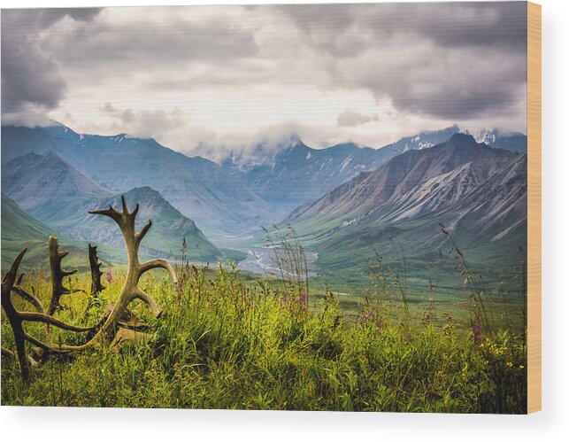 Alaska Wood Print featuring the photograph View from Eielson by Claudia Abbott