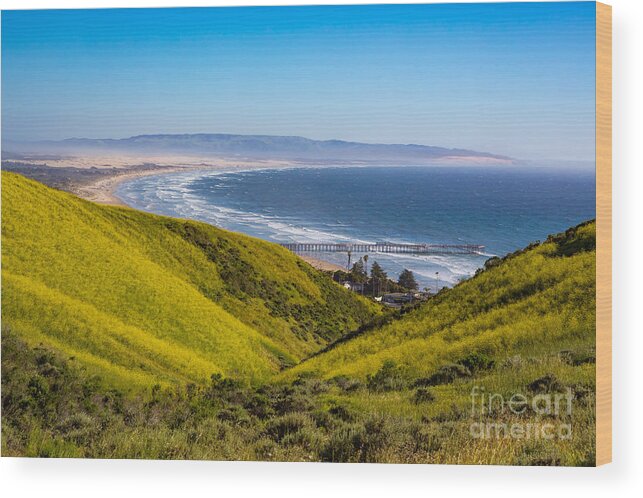 Landscape Wood Print featuring the photograph View From The Pismo Preserve by Mimi Ditchie