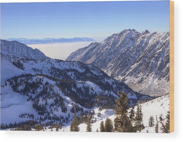 Snowbird Wood Print featuring the photograph View of Little Cottonwood Canyon from Hidden Peak by Spencer Baugh