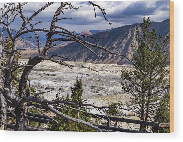 America Wood Print featuring the photograph View of the travertine and mountains from the pathway at Mammoth Hot Springs by Roslyn Wilkins
