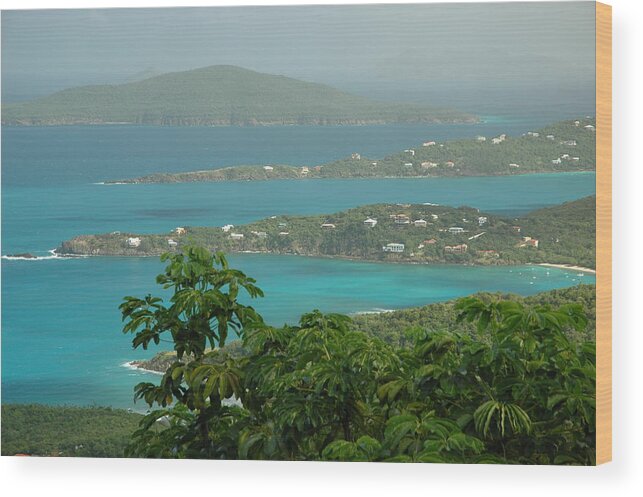 Tropical Wood Print featuring the photograph View Paradise by Lori Mellen-Pagliaro