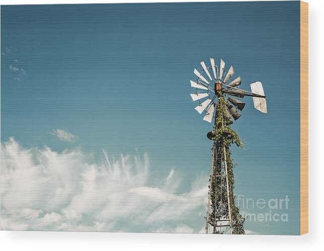 Canada Wood Print featuring the photograph Vines Growing Up a Windmill in Canada by Bryan Mullennix