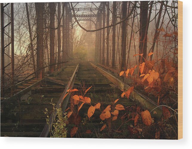 Old Railroad Bridge Wood Print featuring the photograph Vintage Dream by Rob Blair