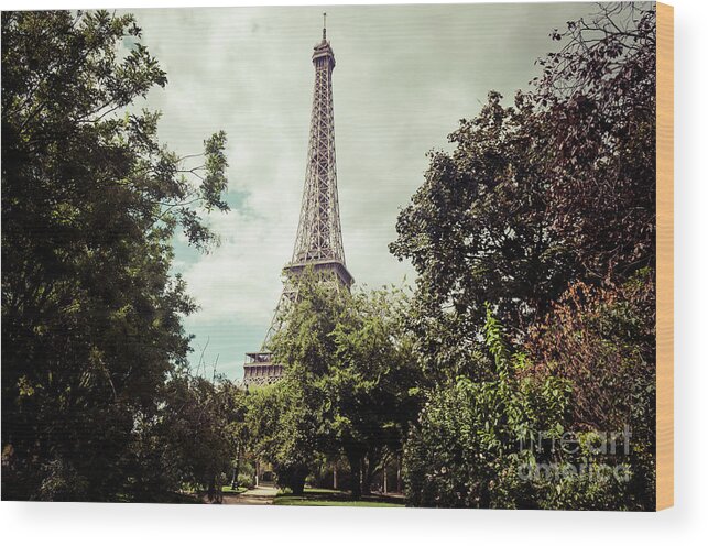 Architecture Wood Print featuring the photograph Vintage Paris Landscape by Paul Warburton