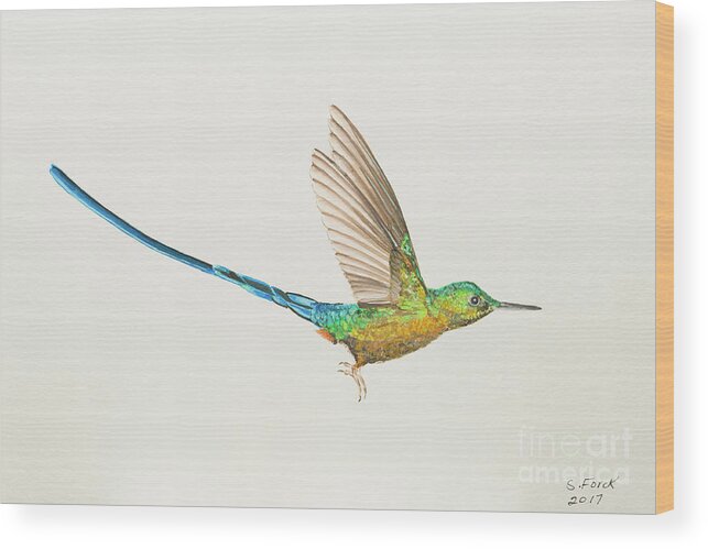 Violet Tailed Sylph Wood Print featuring the painting Violet-tailed sylph by Stefanie Forck