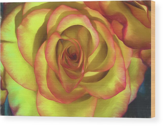 Topaz Impressions Wood Print featuring the photograph Vivid Rose by John Roach