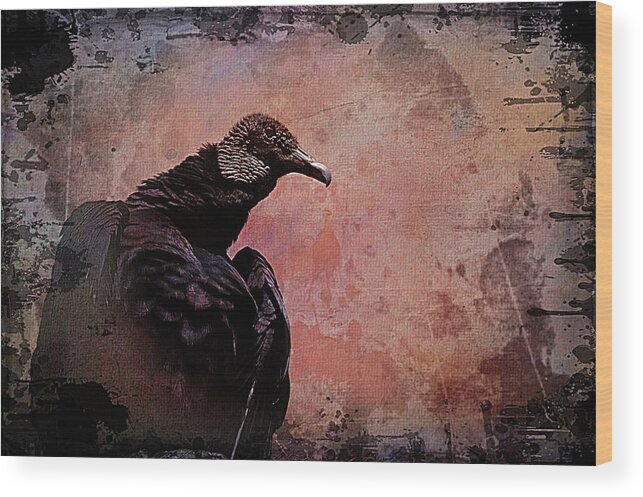 Vulture Wood Print featuring the photograph Vulture by Stoney Lawrentz