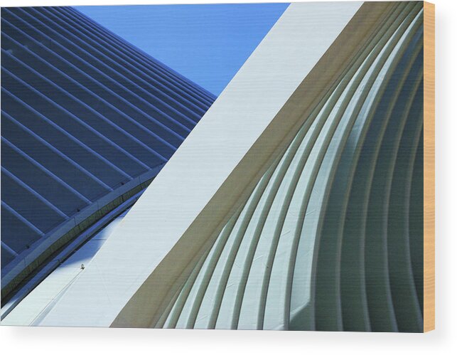 Transportation Wood Print featuring the photograph W T C Transportation Hub Oculus Exterior # 10 by Allen Beatty