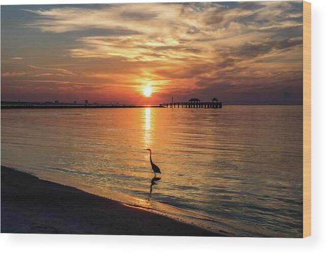 Shorebirds Wood Print featuring the photograph Wading Heron At Sunrise by JASawyer Imaging