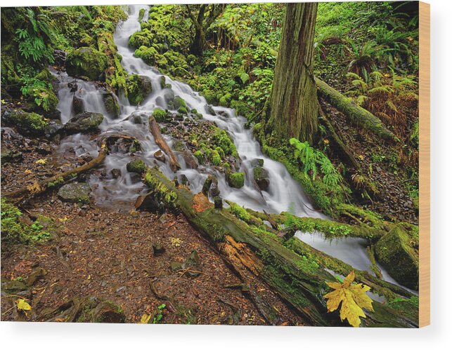 Wahkeena Falls Wood Print featuring the photograph Wahkeena Falls by Jonathan Davison